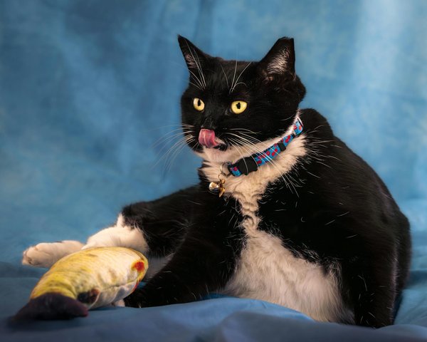 Welche Beleuchtungslà¶sungen verbessern die Stimmung im Zuhause?